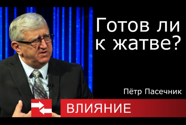гость